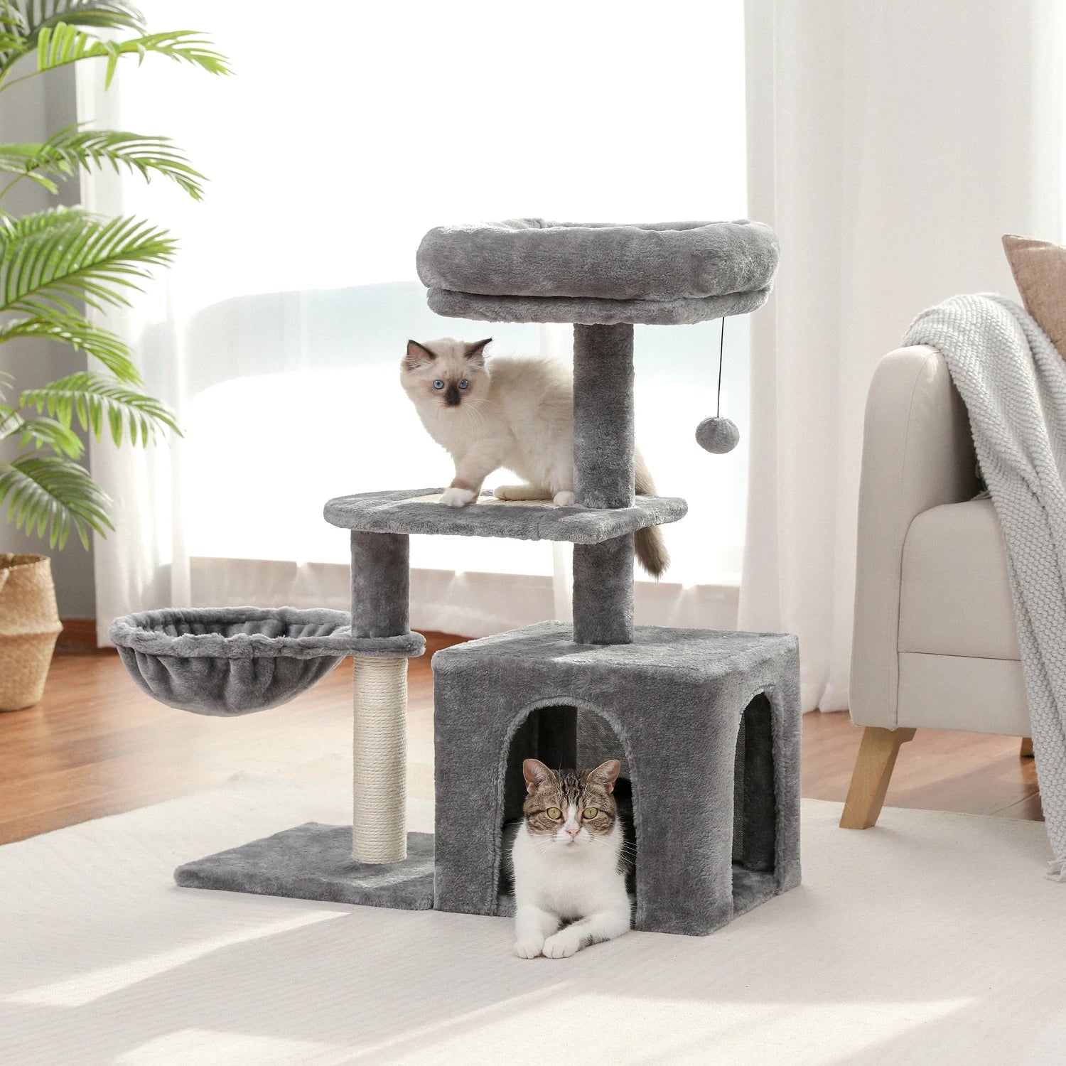 Arbre à chat pour petits chats et chatons grande niche avec hamac profond